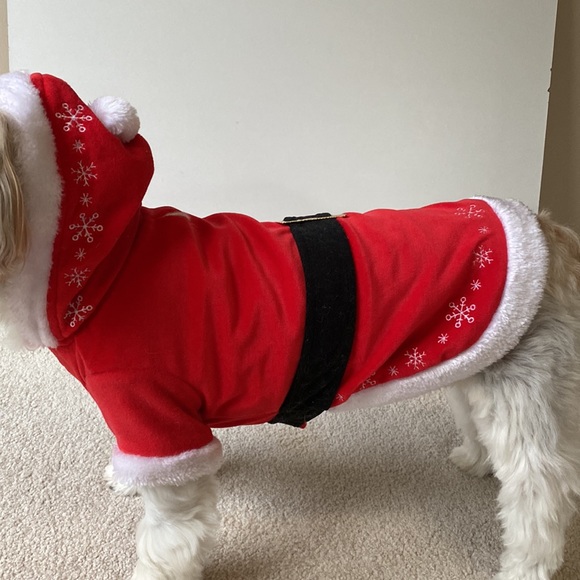 Bundle of Dogs outfits; toys; 2 Shih Tzu Car Coaster & key chain & collar - Picture 2 of 13